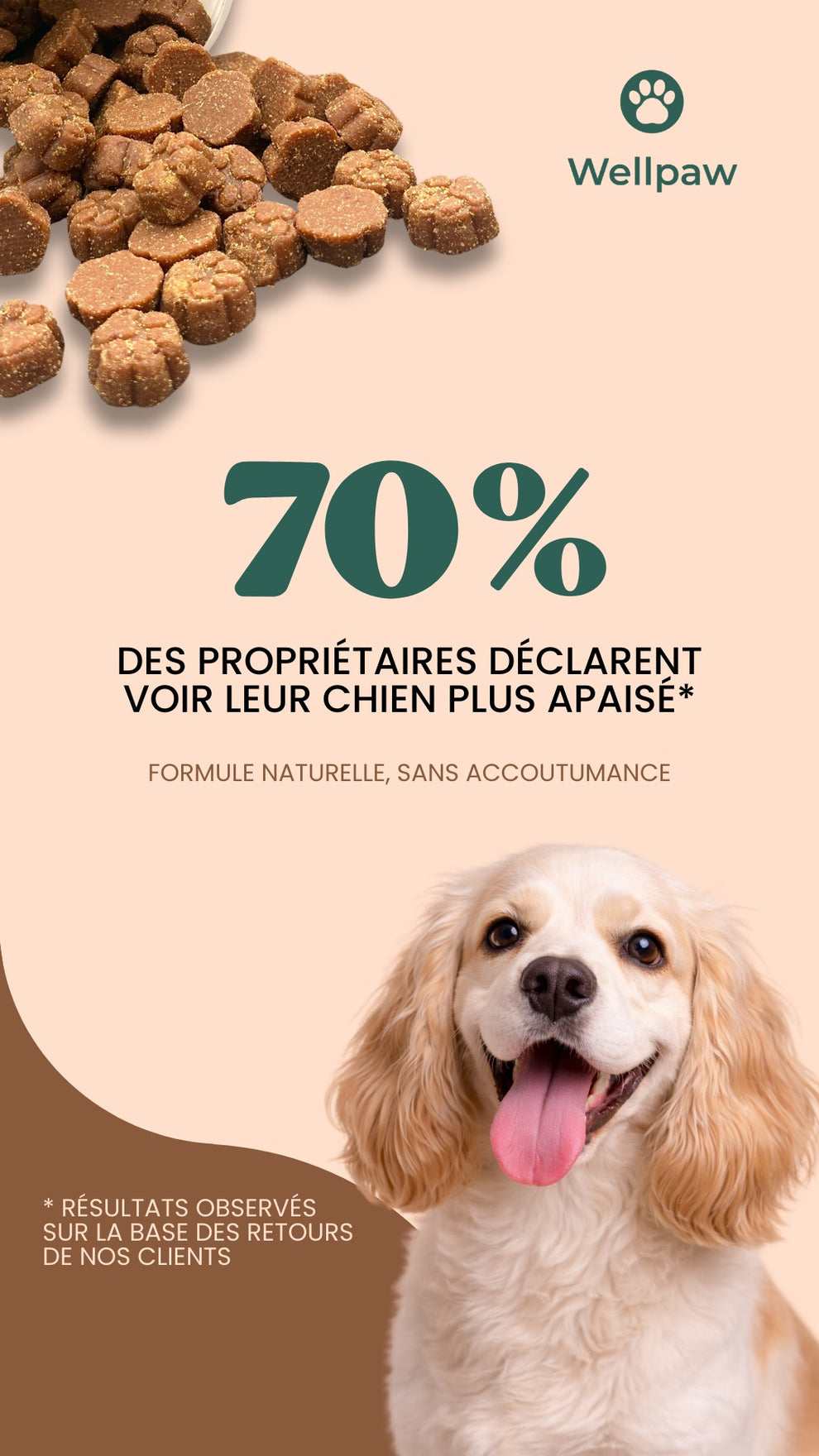 70% des maîtres satisfaits